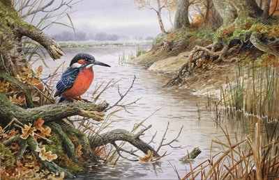 Kingfisher (wc) alkotó: Carl Donner