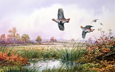 Partridge a repülésben alkotó: Carl Donner
