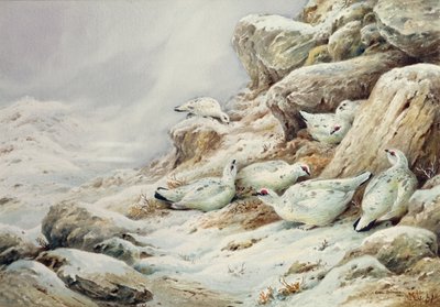 Ptarmigan hóval borított tájon alkotó: Carl Donner