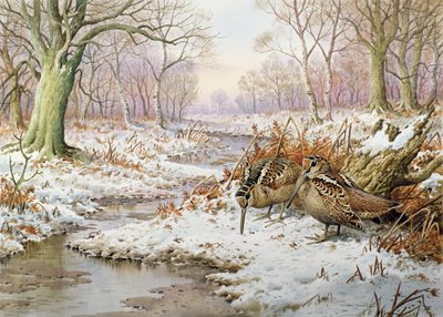 Erdei szalonka alkotó: Carl Donner