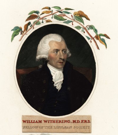 William Withering orvos és botanikus portréja alkotó: Carl Frederik van (after) Breda