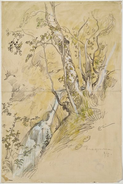 Nyírfák a pataknál alkotó: Carl Larsson