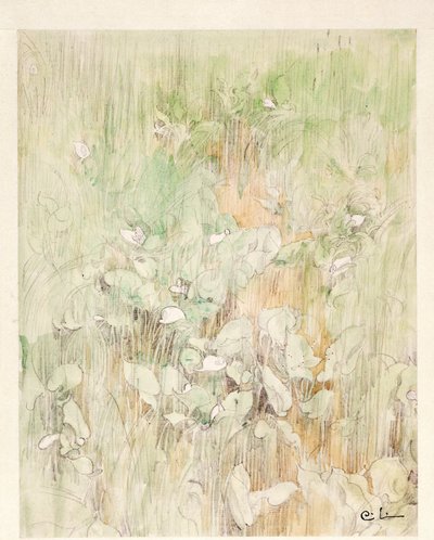 Kallor alkotó: Carl Larsson