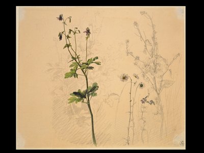 Harangláb, margaréta, fokhagymaszagú gomba és lobélia alkotó: Carl Philipp Fohr