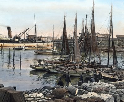 Kikötő, Charente-Maritime, Franciaország (fotó) alkotó: Carl Simon