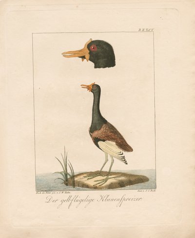  alkotó: Carl Wilhelm Hahn