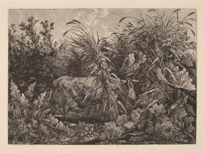 A tehén a mocsárban alkotó: Carl Wilhelm Kolbe, the elder