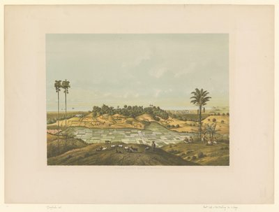 Kilátás a Semarang melletti tájra Északi part Semarangnál (cím az objektumon) alkotó: Carl Wilhelm Mieling (possibly)