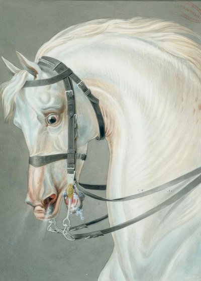 Kantár puskás lovaknak alkotó: Carle Vernet
