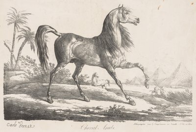 Lovak szvitje: Arab ló alkotó: Carle Vernet
