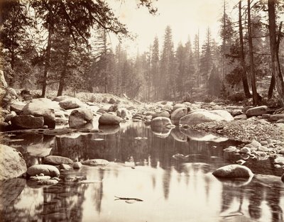 Merced River, kb. 1872, nyomtatott kb. 1876. alkotó: Carleton E. Watkins.