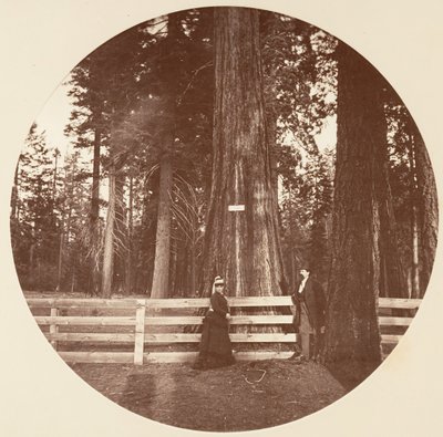 Auld Reckie. C. Grove, kb. 1878. alkotó: Carleton Emmons Watkins
