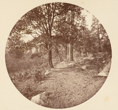 A Yosemite-völgyben kb. 1878. alkotó: Carleton Emmons Watkins