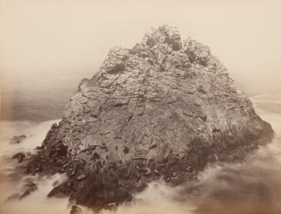 Sugar Loaf Islands, Farallons, 1868-69. alkotó: Carleton Emmons Watkins