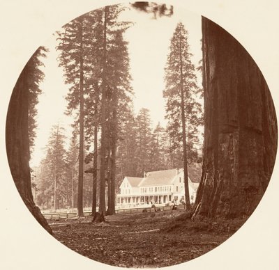 W. C. Bryant – Calaveras Grove, kb. 1878. alkotó: Carleton Emmons Watkins