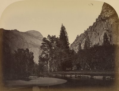Camp Grove - Yo Semite alkotó: Carleton Watkins