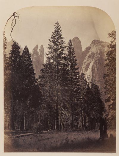 Katedráliscsúcsok - Yosemite alkotó: Carleton Watkins