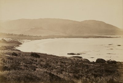 [Parti látkép, Monterey] alkotó: Carleton Watkins
