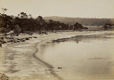 [Tengerparti látkép Monterey közelében] alkotó: Carleton Watkins