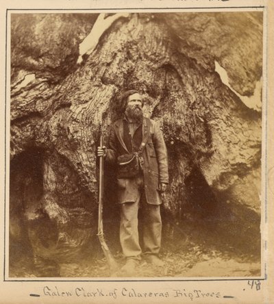Galen Clark, Esq., Mariposa Grove, Mariposa megye, Kalifornia alkotó: Carleton Watkins