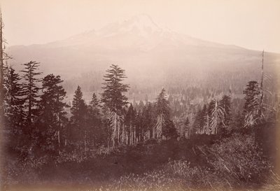 Mount Shasta alkotó: Carleton Watkins