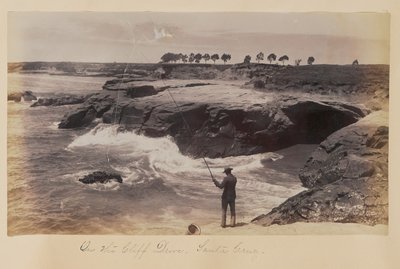 A Cliff Drive-on, Santa Cruz alkotó: Carleton Watkins