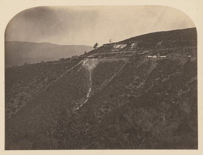 Fenyőfa bánya alkotó: Carleton Watkins