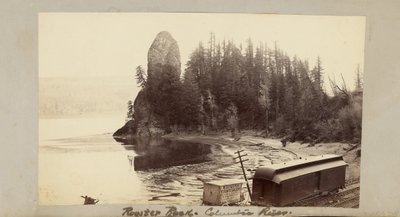 Rooster Rock, Columbia folyó alkotó: Carleton Watkins