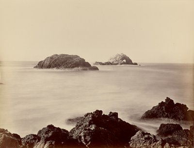 Seal Rocks a Pointból alkotó: Carleton Watkins