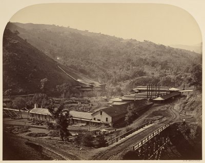 Kohóművek, New Almaden alkotó: Carleton Watkins