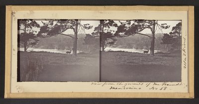 Kilátás Freundt úr kertjéből, Mendocino alkotó: Carleton Watkins