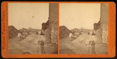 Kilátás a Selby ólom- és ezüstkohászat rakpartjára, San Francisco, Cal alkotó: Carleton Watkins