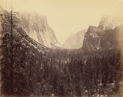 [Yosemite-völgy a Mariposa ösvényről] alkotó: Carleton Watkins