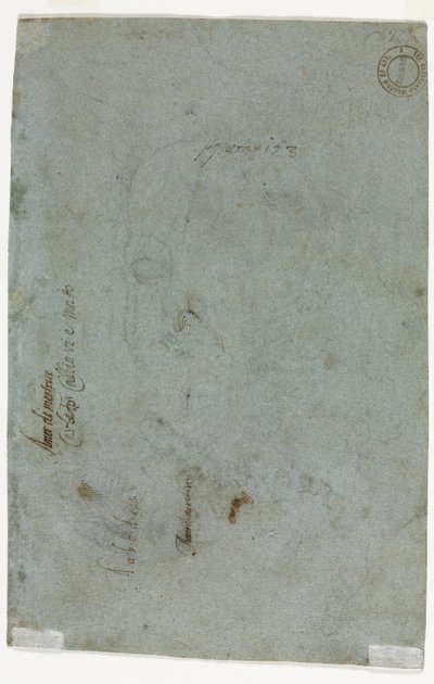 Vázlat egy gyermek fejéről, c. 1586. alkotó: Carletto Caliari