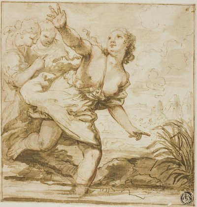 Nő a repülésben alkotó: Carlo Cignani