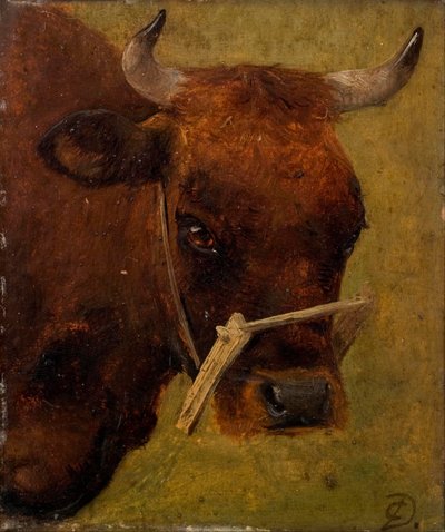 Egy tehén feje. Tanulmány. alkotó: Carlo Dalgas