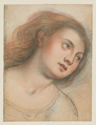 Tanulmány a női fej számára (verso); Krisztus feje (recto) alkotó: Carlo Francesco Nuvolone