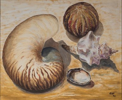 Tengeri kagylók, 1993 (olaj, papír) alkotó: Carolyn Hubbard-Ford