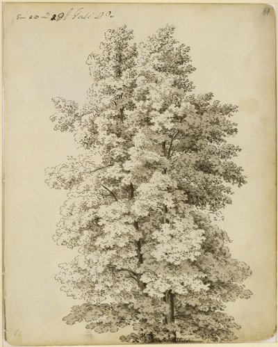  alkotó: Caspar David Friedrich
