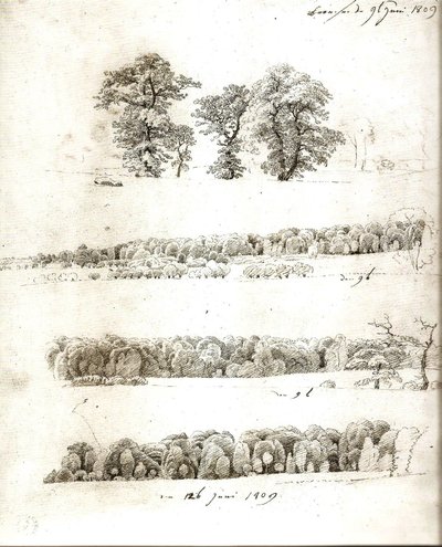 Fa tanulmányok 1809 alkotó: Caspar David Friedrich