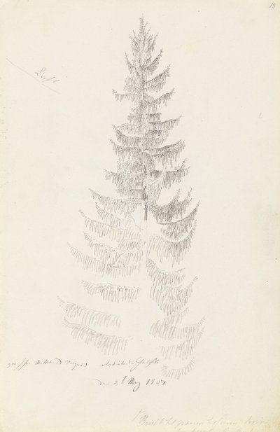 Spruce alkotó: Caspar David Friedrich