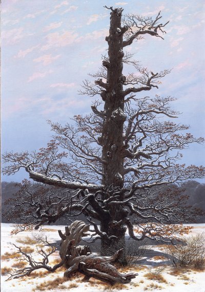 Német: Eichbaum im Schnee A tölgyfa a hóban alkotó: Caspar David Friedrich