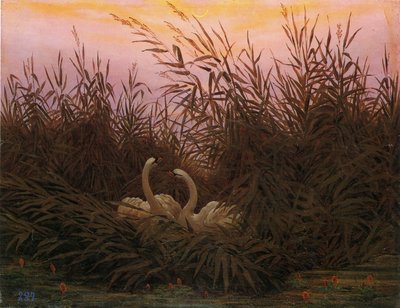 Német: Schwäne im Schilf beim ersten Morgenrot Hattyúk a nádasban az első hajnalban alkotó: Caspar David Friedrich