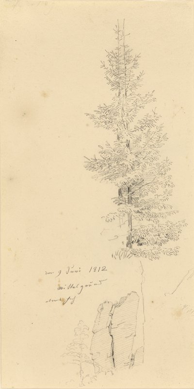 Német: Studie mit Fichten und Felsen Tanulmány lucfenyőkről és egy szikláról alkotó: Caspar David Friedrich