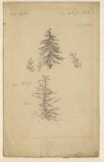 Német: Zwei Tannenstudien Két tanulmány fenyőfákról alkotó: Caspar David Friedrich