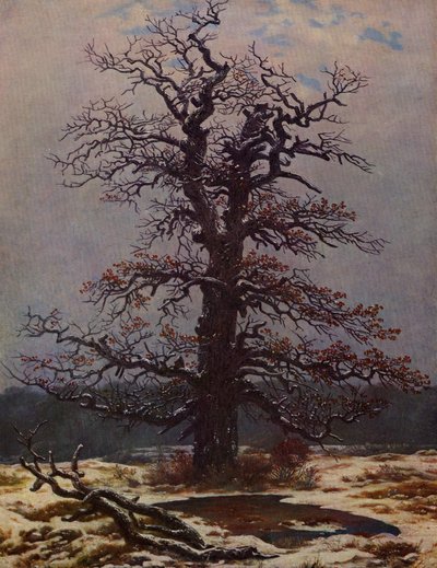 Tölgy a hóban alkotó: Caspar David Friedrich