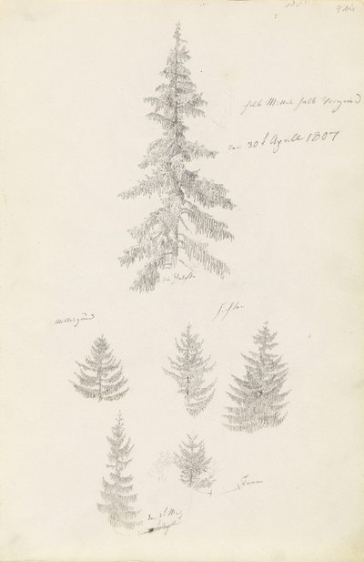 Hat tanulmány lucfenyőkről és fenyőkről alkotó: Caspar David Friedrich