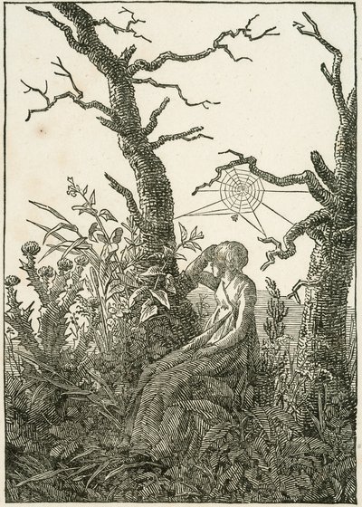 Nő pókhálóval a csupasz fák között alkotó: Caspar David Friedrich