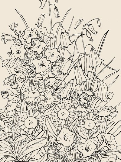 Vadvirágok alkotó: Catalina Somolinos