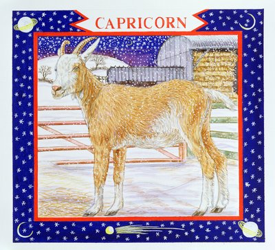 Bak (wc papíron) alkotó: Catherine Bradbury